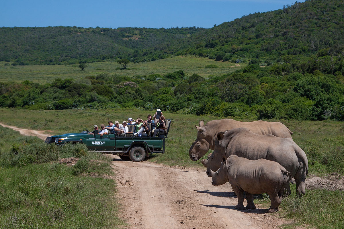 kariega safari park south africa